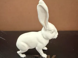 Jack Rabbit 01
