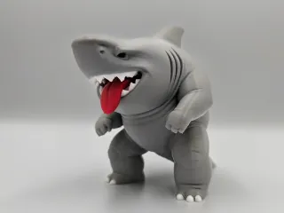 Chubby Shark - Multicolor Print