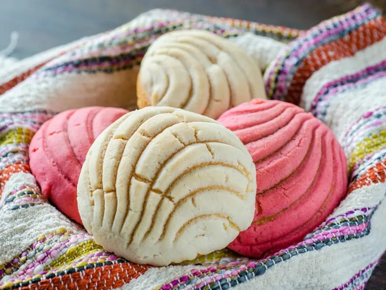 РАКОВИНА