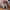 Shadgeta _ 夏特 X 贝吉塔 (多部件 / 无需AMS / 3MF)