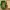Minecraft Zombi Kurabiye Kesici ve Damga 🍪