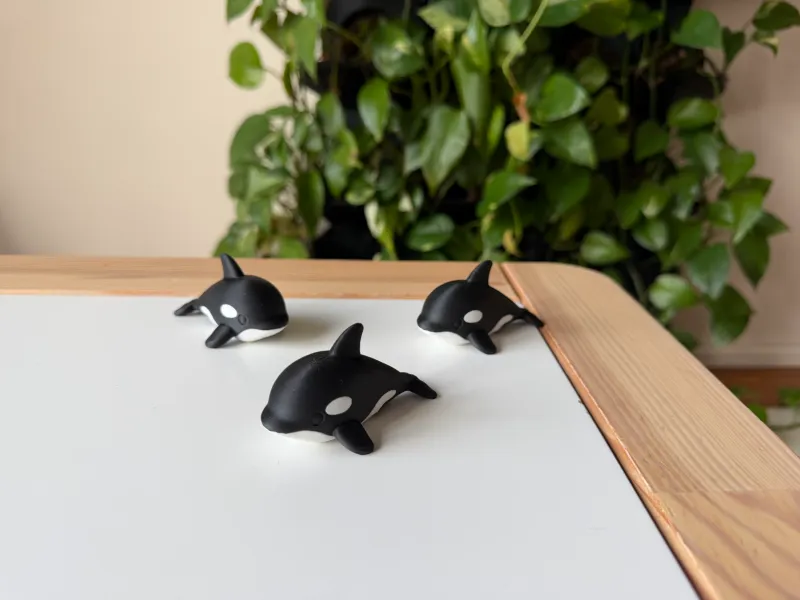 Orca