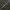 Giant Jawblade Monster Hunter Wilds