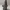 clover_gnome