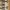 Seed Pixel Tensioner