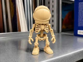Austronaut Skeleton