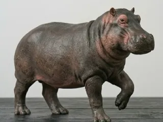 Hippopotamus - simple and easy to print