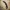 Karambit-Messer V2 Counter Strike.