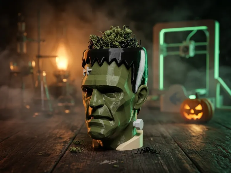 Meerkleurige Frankenstein Monsterbuste & Bloempot (CFS life)