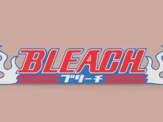 Bleach Wall Art