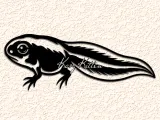Frog Tadpole wall art home decor-0