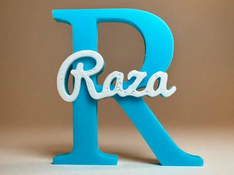 Placa de Identificação 3D - Raza