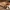 flexi_toy_cat_cowboy