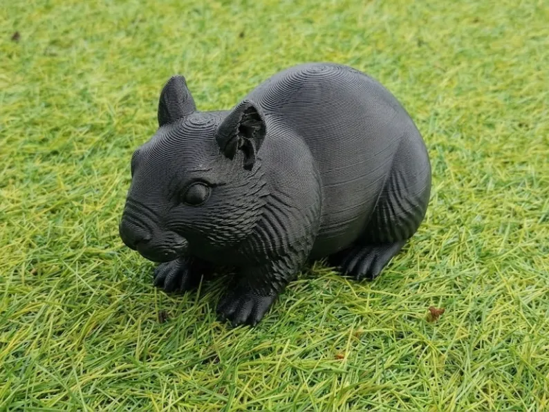 Gundi – Realistic Detailed Rodent