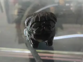 Imperial Pug