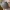 Theepot met Bladreliëf — Botanisch Decoratief Woonaccessoire
