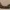 Stylised Boat