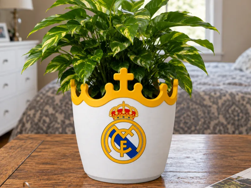 Maceta del Real Madrid