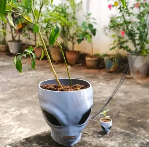 Alien Halloween decoration, plant pot, flower pot, bowl-1