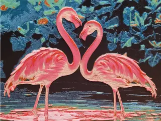 Flamingos