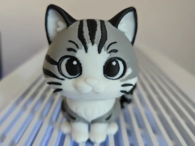 Cat The Grey