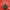 Hulk's Fist | Marvel Keychain Series | CFS