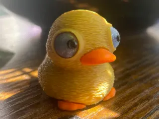 Cute Duck With Big Movable Eyes