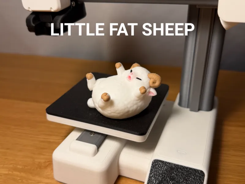 Little Fat Sheep / Ram