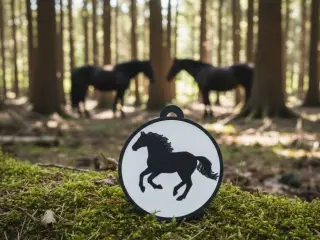 LLavero caballo salvaje