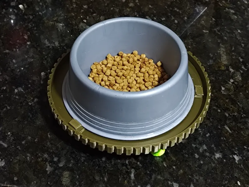 anti ant bowl for food jar