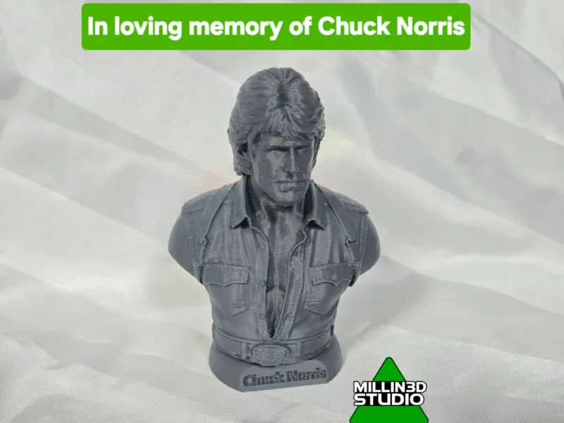 Busto statua dell'attore di film d'azione americano Chuck Norris