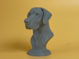 Great Dane Bust-0