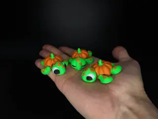 Flexi pumpkin turtle