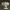 Rey Hechicero – Age of Wonders