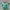 IVYSAUR-DESPIECE-NOAMS