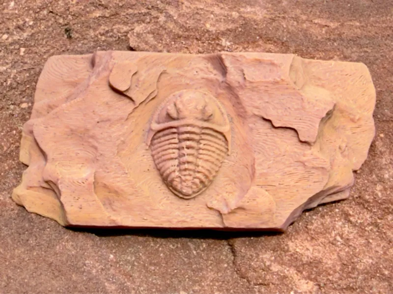 Trilobite