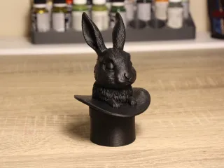 The rabbit in the hat