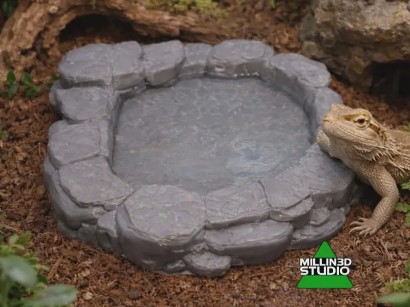 Natural Rock Pond for Pets