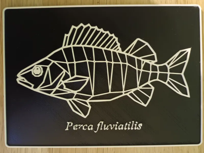 Postkarte Flussbarsch