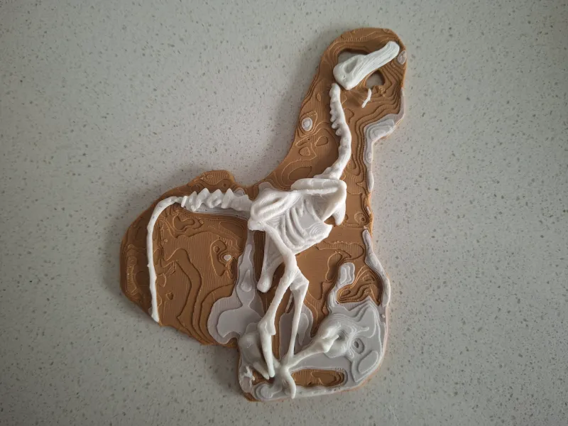 Fósil de dinosaurio en roca