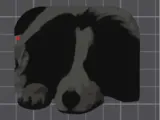 Jasper the border collie - makenow-0
