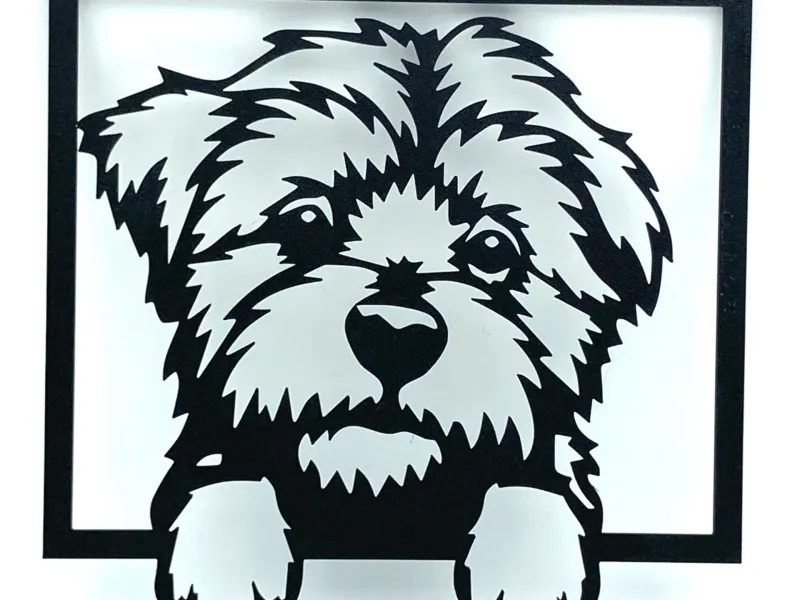 Wall Art Bichón Maltés / Wall Art Maltese Bichon