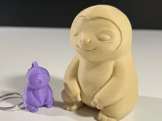 Cute Sloth
