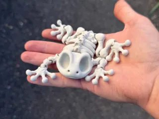 Articulated Skeleton Frog