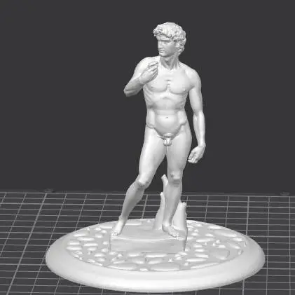 IL DAVID DI MICHELANGELO