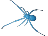 Large spider-0