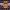42-Fortnite Geburtstagstorte Sprite