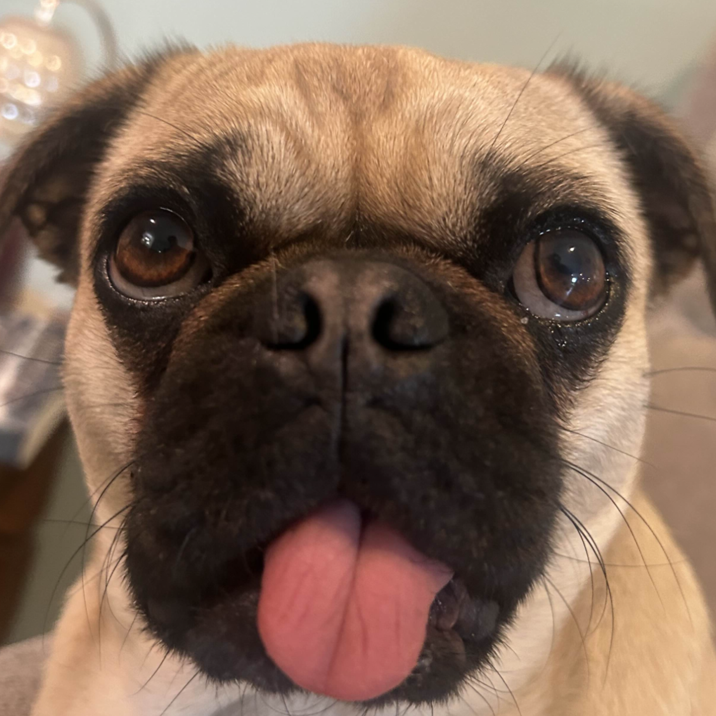 avatar of Cycl0n1x