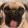 avatar of Cycl0n1x
