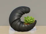 Spiral Crescent Succulent Planter | Modern Sculptural Plant-0